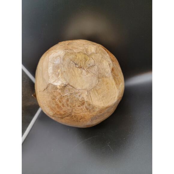 Pear Paper Mache Glazed Figurine Oversized Bookshelf Home Decor Gold 9.75"H - Picture 6 of 9